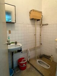 Hong Lim Complex (D1), Shop House #514698961
